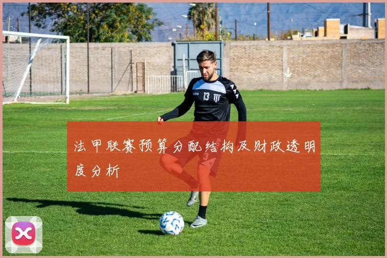 法甲联赛预算分配结构及财政透明度分析